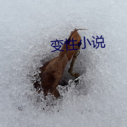 变性小说