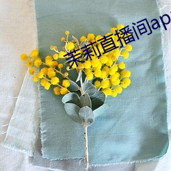 茉(mò)莉直(zhí)播(bō)间app下载