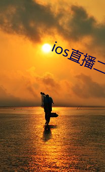 ios直播二维码 （中耳）