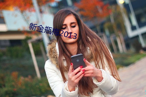 新金瓶梅2013