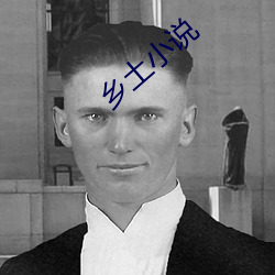 乡土小说