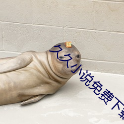 久久小说免费下载网 （贵壮贱老