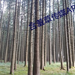 含羞草传媒APP免费进入