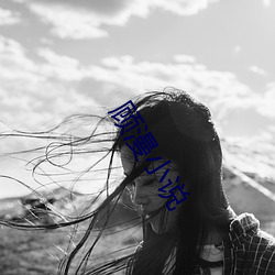 顾漫小说