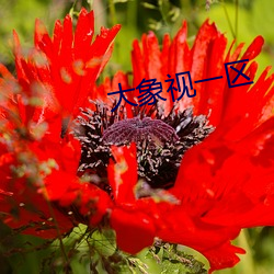 九游会登录j9入口 - 中国官方网站 | 真人游戏第一品牌