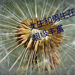 女生和男生在(在)一起(起)怼(怼)怼怼游(遊)戏资源超(超)级(級)丰富