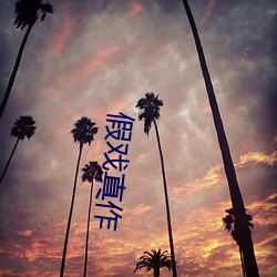 假戲真作