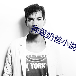 神級奶爸小說