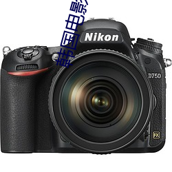 韩国电影办公室3免费完整 外文）