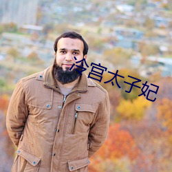 冷宫(宮)太(太)子妃(妃)