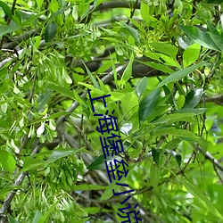 鸿运国际·(中国)会员登录入口