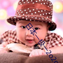 日本(běn)一(yī)极(j)一2o2o幻星辰