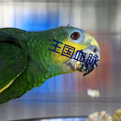 王国血脉