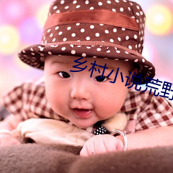 乡(鄉)村(村)小说荒野(野)春事(事)