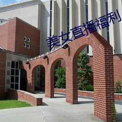 美女直播福利