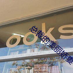 總裁的美麗嬌妻