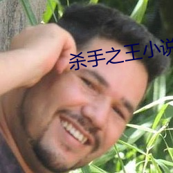 杀(殺)手之(之)王(王)小(小)说