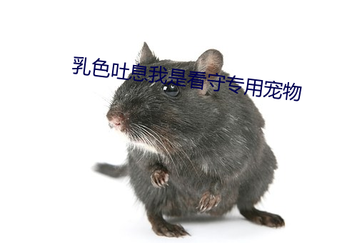 乳色吐息我是看守专用宠物