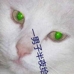 一男子半夜给女子吃坤巴