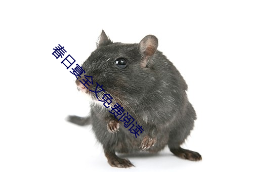 春日宴全文免费阅(yuè)读