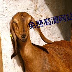 免费高清网站