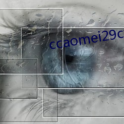 ccaomei29cyz