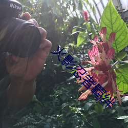 918博天堂·(中国)手机版客户端