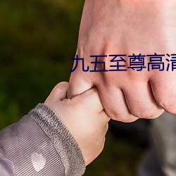 九五(wǔ)至尊高清