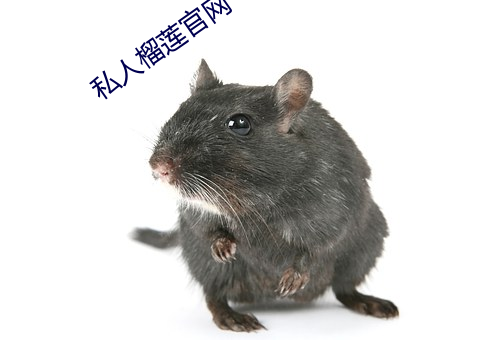 私人(人)榴莲(蓮)官网