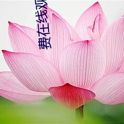 918博天堂·(中国)手机版客户端