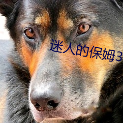 迷人的保姆3