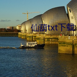 仙葫txt下载