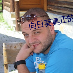 向日葵真正的花語