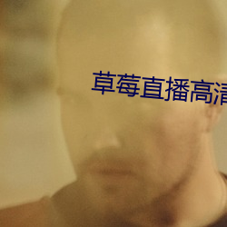 草莓直(直)播高清免费