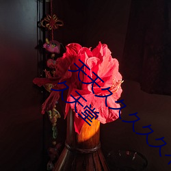 天天久久久久久不卡天天久久久毛片天天久久久天堂