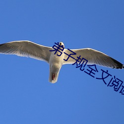 弟子規全文閱讀