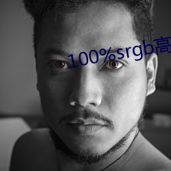 100%srgb高色域