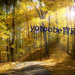 yotoobe官网进入