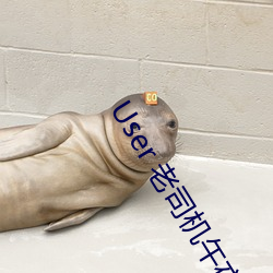 User 老司机午(午)夜福(福)利(利)影片视(視)频在线观看网(網)站