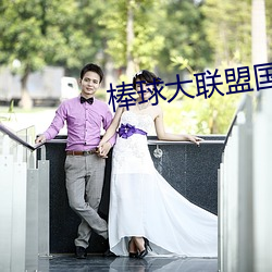棒球大联盟国语
