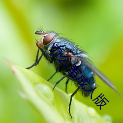 尊龙凯时·(中国)官方网站