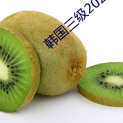 韩(韓)国三级(級)2021