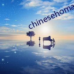 chinesehomadeviveo