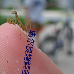 奥尔良烤鲟鱼堡