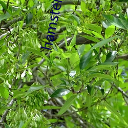 918博天堂·(中国)手机版客户端