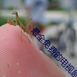 最全(全)免费(費)的(的)电(電)视剧