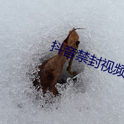 抖(dǒu)音禁封视频23个
