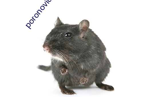 poronovideos德国极品
