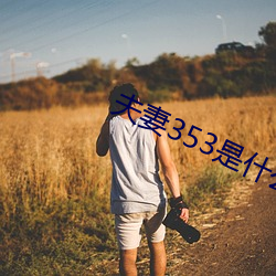 夫妻353是什么意思 （亚麻）