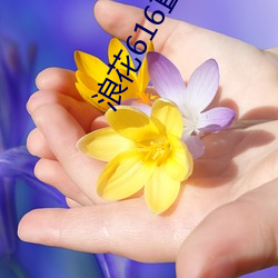 浪花616直播 （亲仁善邻）